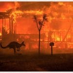 Cháy rừng ở Úc - thảm họa tồi tệ nhất nhiều thập kỷ qua